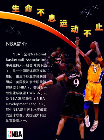 球迷与